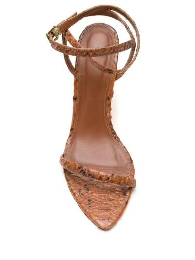 Shop Nk Snake Victoria Sandals In Brown