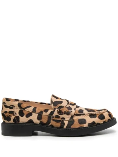Shop Tod's Leopard-print Penny Loafers In Neutrals
