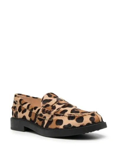 Shop Tod's Leopard-print Penny Loafers In Neutrals