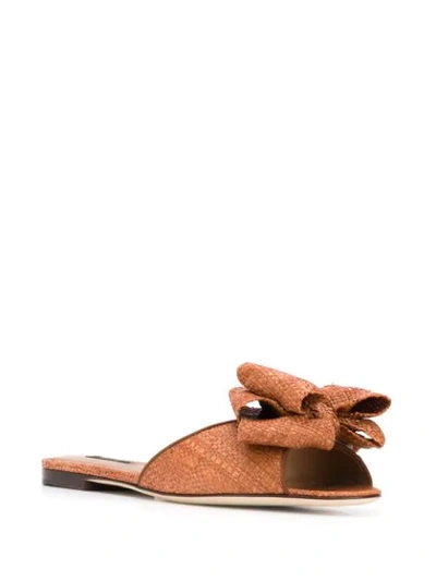 Shop Dolce & Gabbana Bow Detail Flat Sandals In Brown