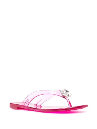 Shop Casadei Jelly Four-leaf Clover Flip-flops In Pink