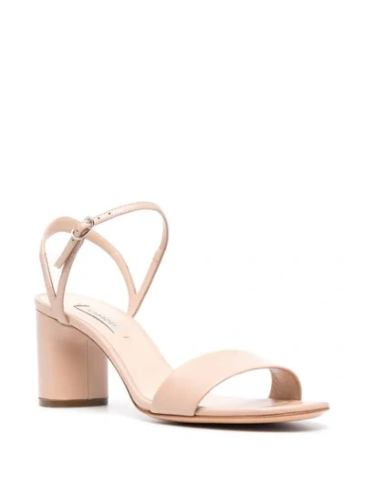 Shop Casadei Block-heel Strappy Sandals In Neutrals