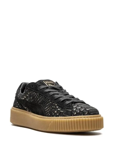 Shop Puma Platform Exotic Skin Sneakers In Black