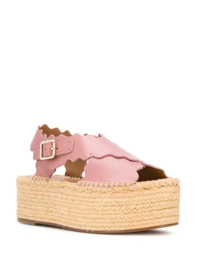 Shop Chloé Lauren Raffia Platform Sandals In Pink