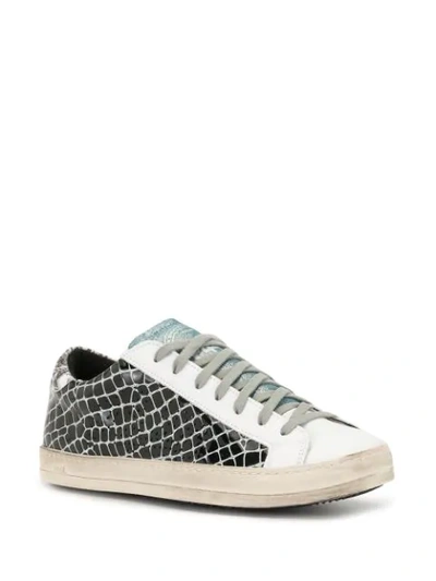 Shop P448 Snakeskin Trainers In Black