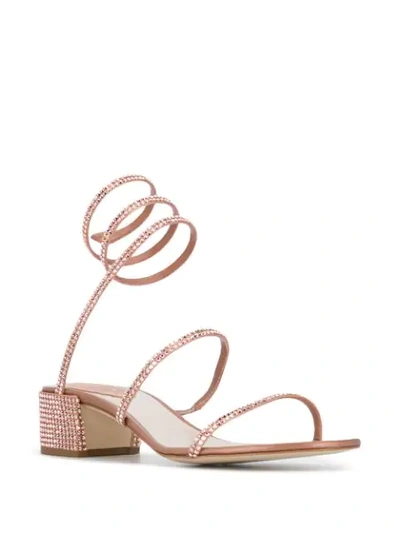 Shop René Caovilla Cleo Crystal-embellished Sandals In Pink