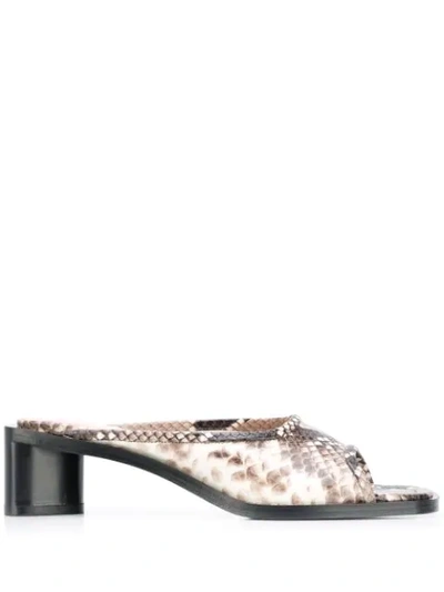 Shop Acne Studios Python Print 50mm Mules In Neutrals