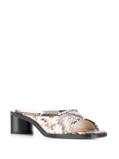 Shop Acne Studios Python Print 50mm Mules In Neutrals