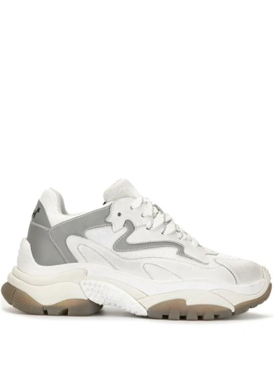 Shop Ash Suede And Mesh Panel Chunky Platform Trainers In White