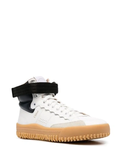 Shop Chloé Franckie High-top Sneakers In White