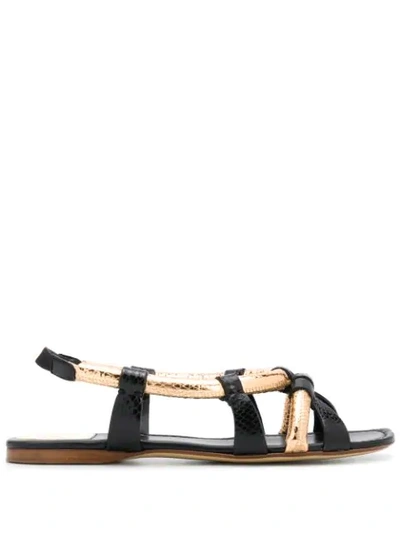 Shop Francesco Russo Snakeskin Effect Flat Sandals In Black