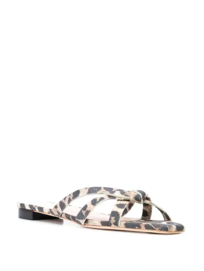 Shop Loeffler Randall Leopard Print Eveline Sandals In Brown