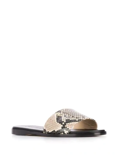 Shop Jimmy Choo Minea Flat Sandals In Brown