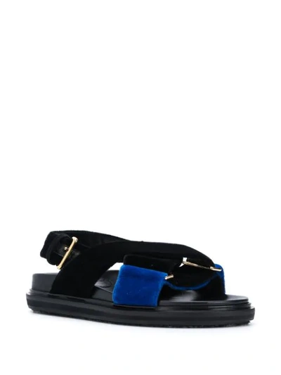 Shop Marni Fussbet Velvet-detail Sandals In Black
