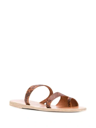 Shop Ancient Greek Sandals Siopi Python Print Sandals In Brown