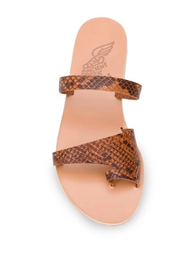 Shop Ancient Greek Sandals Siopi Python Print Sandals In Brown