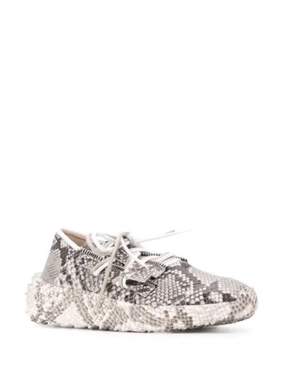 Shop Giuseppe Zanotti Urchin Snakeskin-effect Sneakers In Grey