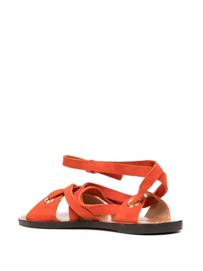 Shop Tila March Barbara Flat Sandals In Orange