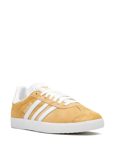 Shop Adidas Originals Gazelle Sneakers In Brown