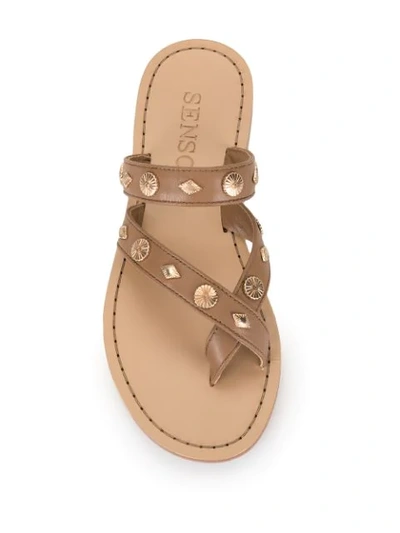 Shop Senso Fallow Studded Sandals In Brown