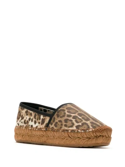 Shop Dolce & Gabbana Leopard Print Espadrilles In Brown