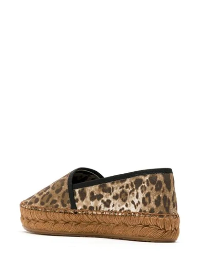 Shop Dolce & Gabbana Leopard Print Espadrilles In Brown