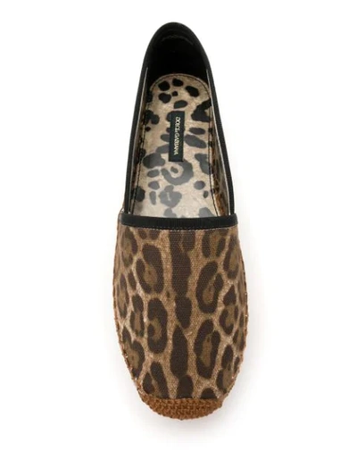 Shop Dolce & Gabbana Leopard Print Espadrilles In Brown