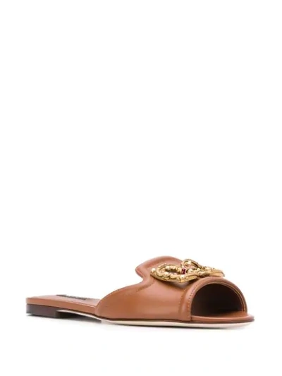 Shop Dolce & Gabbana Dg Amore Sandals In Brown