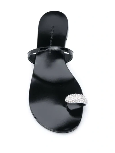 Shop Giuseppe Zanotti Ring Flat Sandals In Black