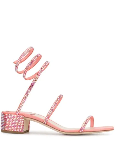 Shop René Caovilla Cleo Embellished Sandals In Pink