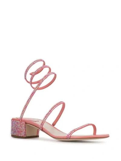 Shop René Caovilla Cleo Embellished Sandals In Pink