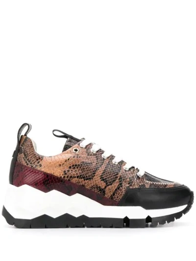 Shop Pierre Hardy Snake-print Low-top Sneakers In Brown