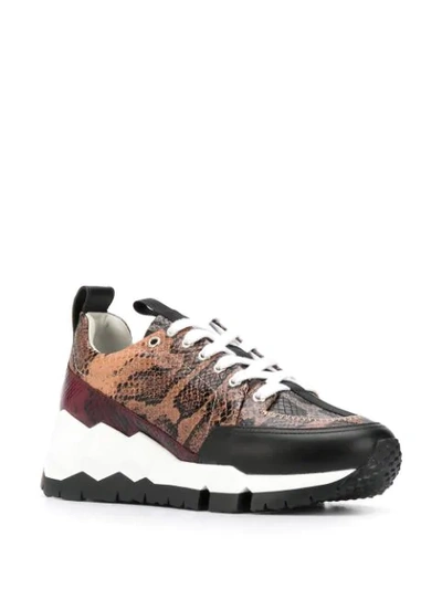 Shop Pierre Hardy Snake-print Low-top Sneakers In Brown