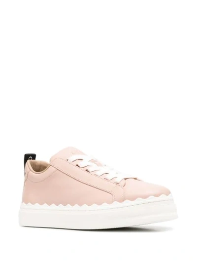 Shop Chloé Lauren Low-top Sneakers In Pink