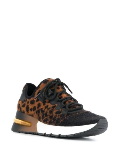 Shop Ash Krush Leopard Sneakers In Black