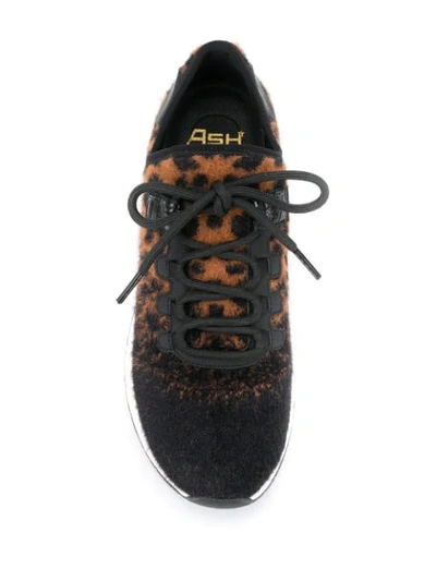 Shop Ash Krush Leopard Sneakers In Black