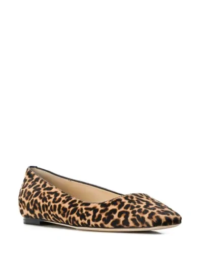 Shop Jimmy Choo Mirele Leopard Print Ballerina Shoes In Brown
