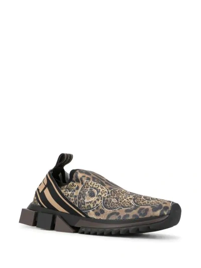 Shop Dolce & Gabbana Sorrento Leopard-print Sneakers In Brown