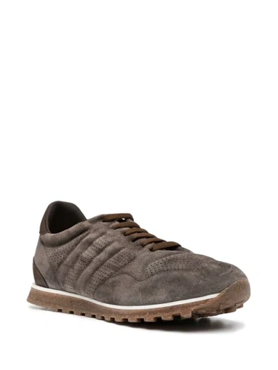 Shop Alberto Fasciani Lace-up Suede Trainers In Brown