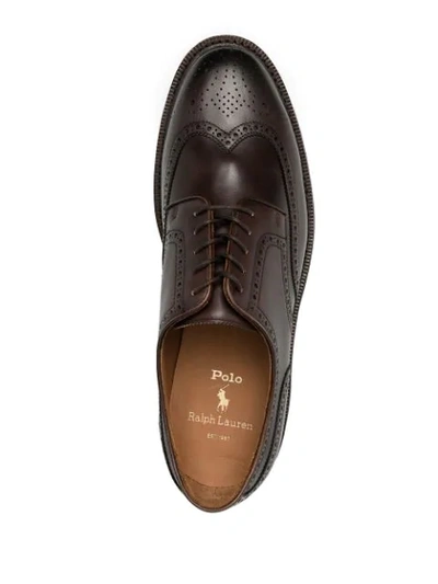 Shop Polo Ralph Lauren Asher Wingtip Brogues In Brown