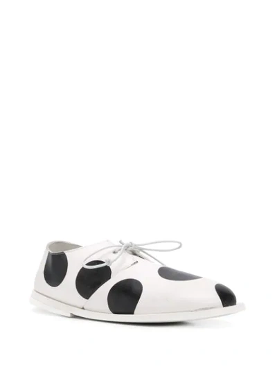 Shop Marsèll Polka Dot Lace-up Shoes In White
