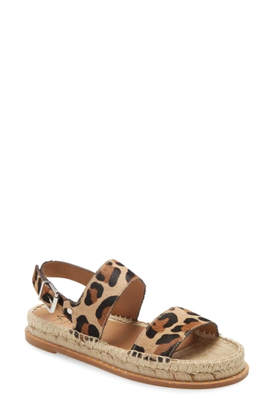 Shop Aquatalia Kira Genuine Calf Hair Espadrille Sandal In Leopard Calf Hair