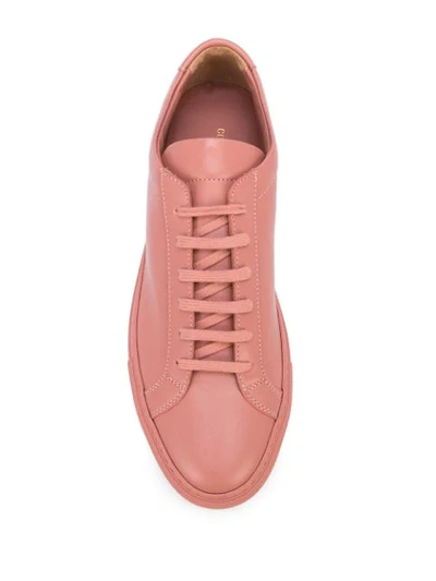 Shop Common Projects Low-top Sneakers In Pink