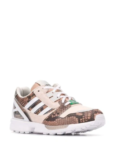 Shop Adidas Originals Zx 8000 Lethal Nights Sneakers In Brown