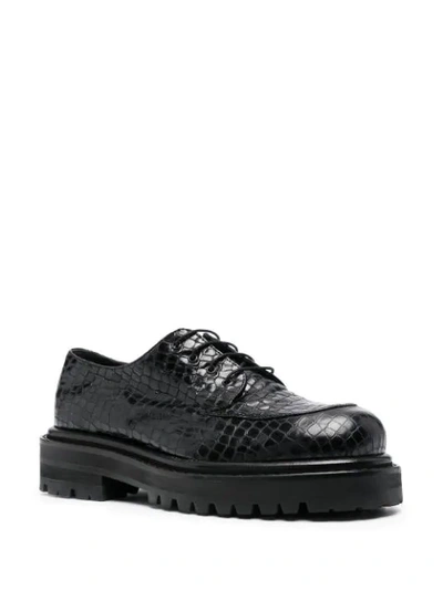 Shop Just Cavalli Crocodile-effect Derby Shoes In Black