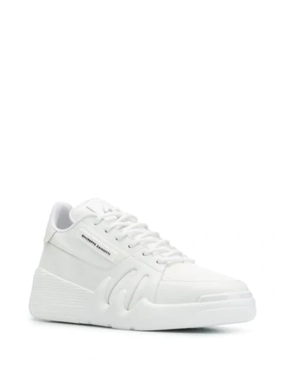 Shop Giuseppe Zanotti Talon Low-top Sneakers In White