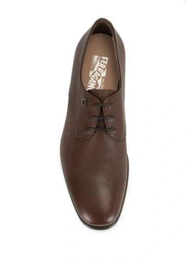 Shop Ferragamo Calf Leather Oxford Shoes In Brown