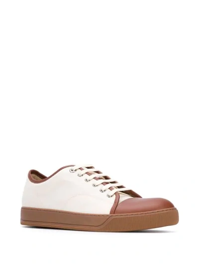 Shop Lanvin Dbbi Low-top Sneakers In Neutrals