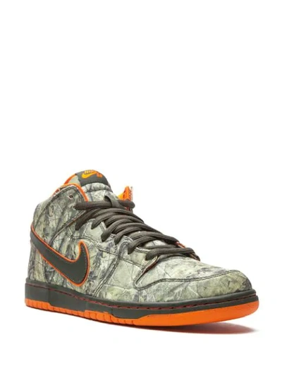 Shop Nike Dunk Mid Premium Sb Sneakers In Green