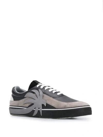Shop Palm Angels Palm Low-top Sneakers In Black